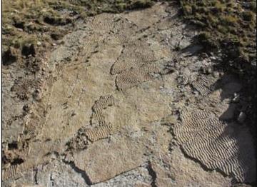 unito ripple-marks  tracce moto ondoso di 250 milioni di anni fa