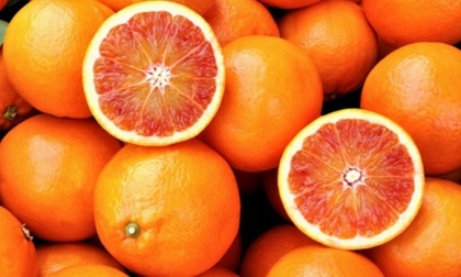 unive arance